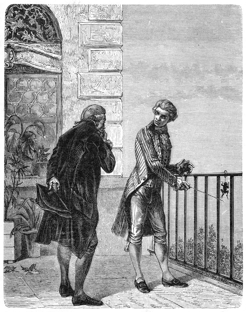 Luigi Galvani, fisiólogo italiano del siglo XVIII, 1880 de Unbekannt