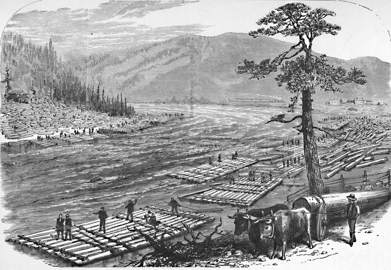 Construcción de balsas en el río Susquehanna. Una escena en la línea del ferrocarril Erie, 1883 de Unbekannt
