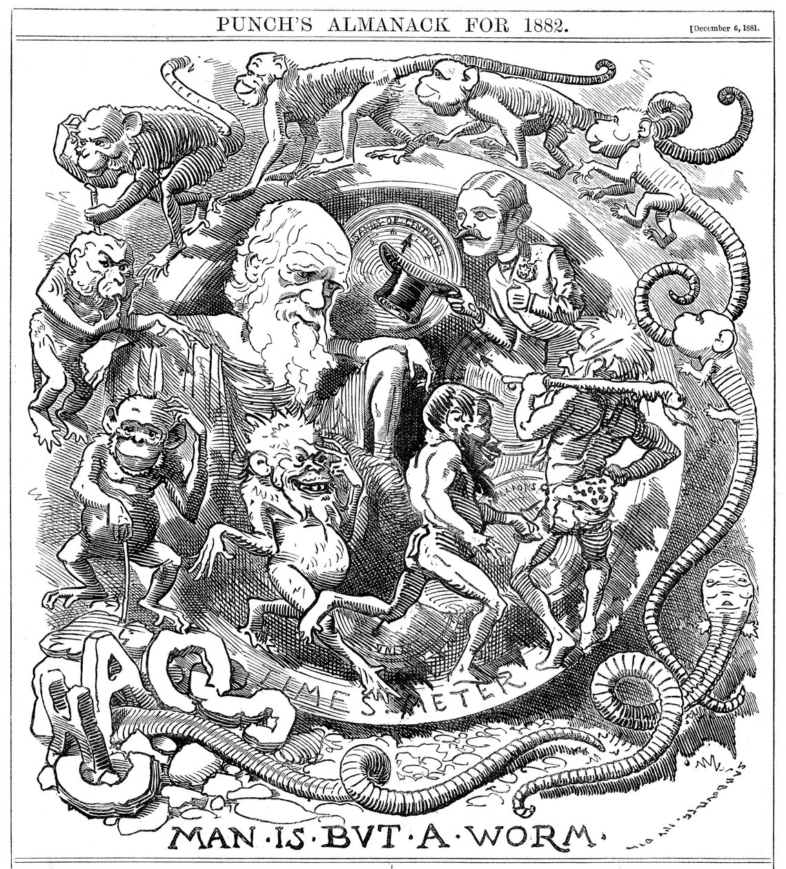 El hombre no es más que un gusano, caricatura de Punch mostrando la evolución de gusano a hombre, 1881 de Unbekannt