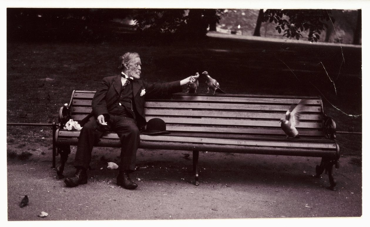 Hombre en un banco del parque, c 1920 de Unbekannt