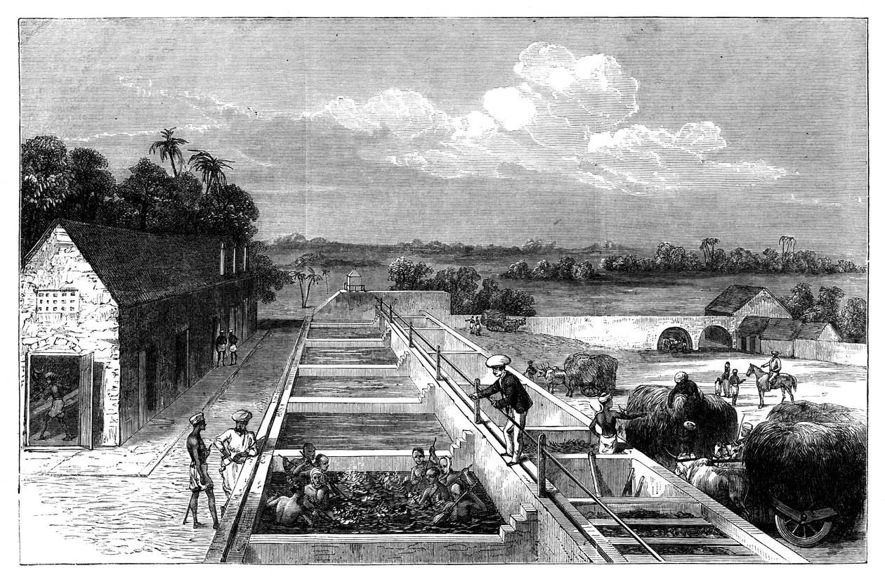 Fabricación de índigo en Tirhoot Muzaffarpur, Bajo Bengala, 1869 de Unbekannt