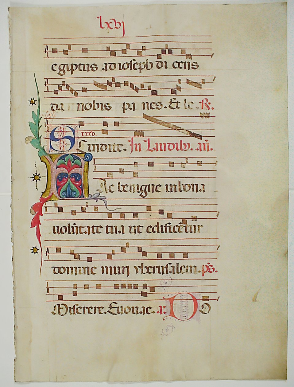 Hoja de manuscrito con inicial A, de un antifonario, italiano, siglo XV de Unbekannt