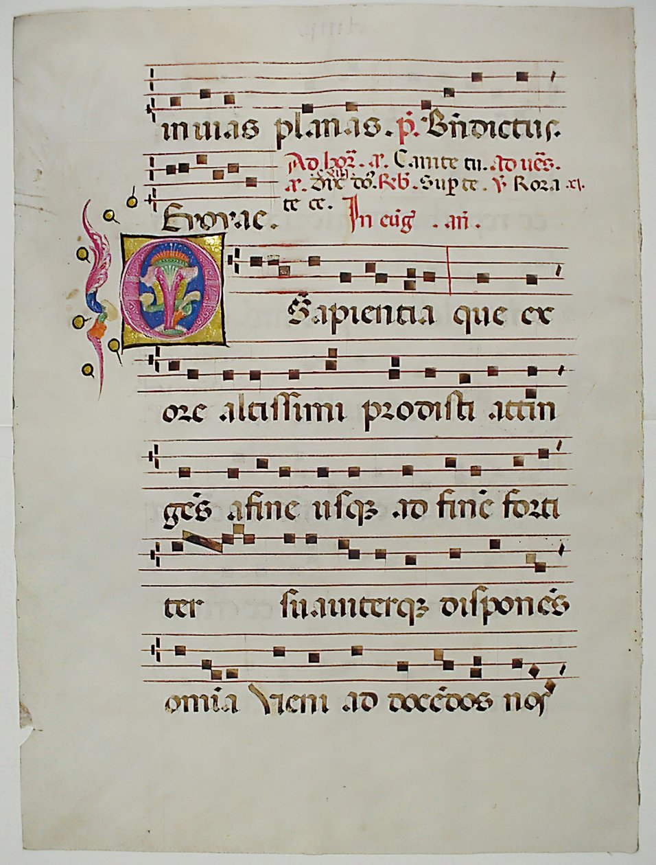 Hoja de manuscrito con Inicial O, de un Antifonario, italiano, siglo XV de Unbekannt