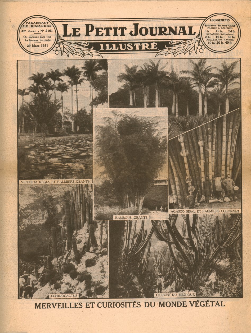 Maravillas y curiosidades del mundo vegetal, 1931 de Unbekannt
