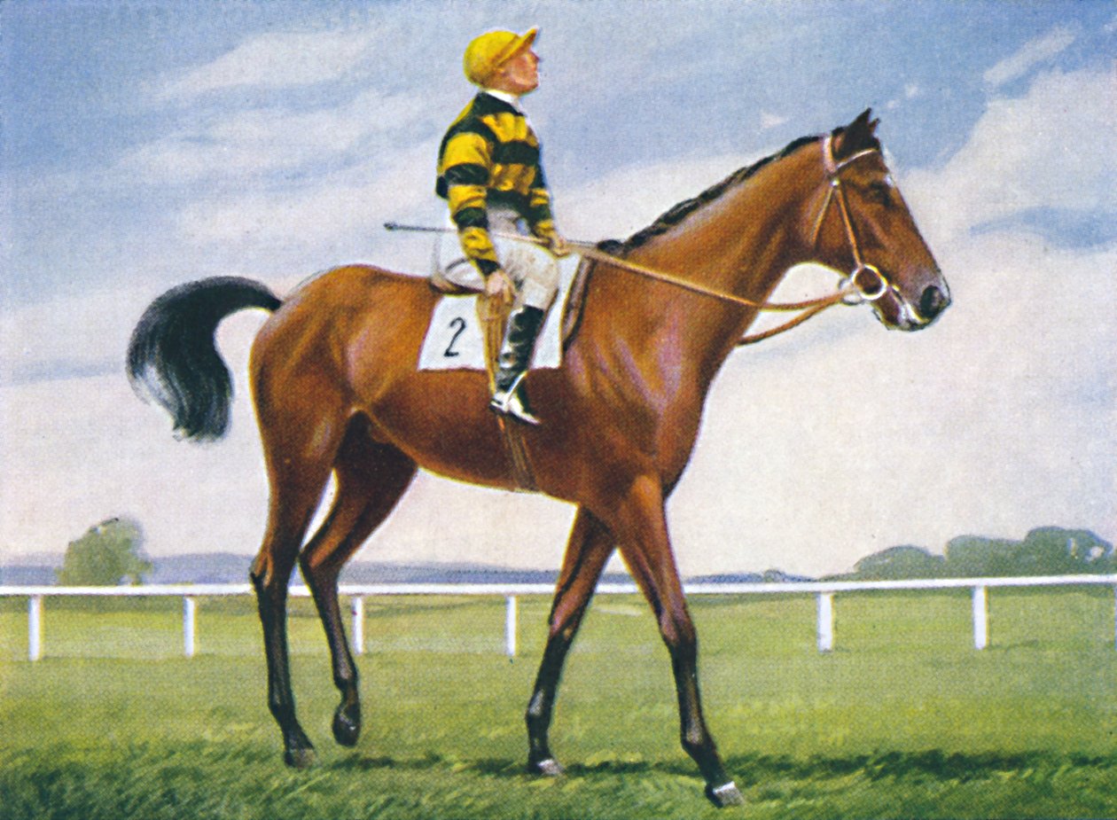 Meadow, Jinete: T. Weston, 1939 de Unbekannt