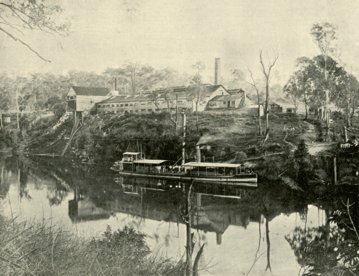 Trabajos de carne, cerca de Grafton, Nueva Gales del Sur, 1901 de Unbekannt