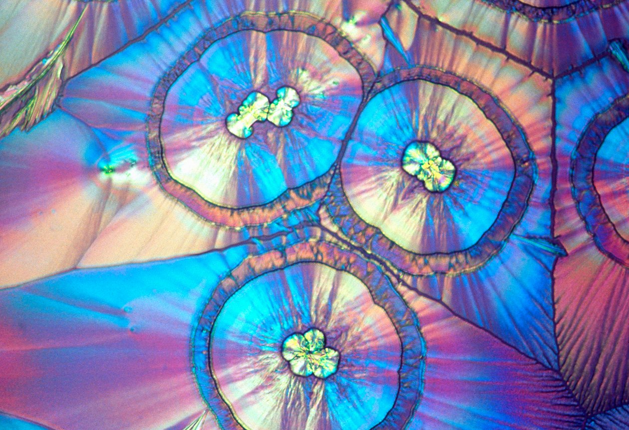 Micrografías (Luz) Ácido ascórbico, micrografía de luz de Unbekannt