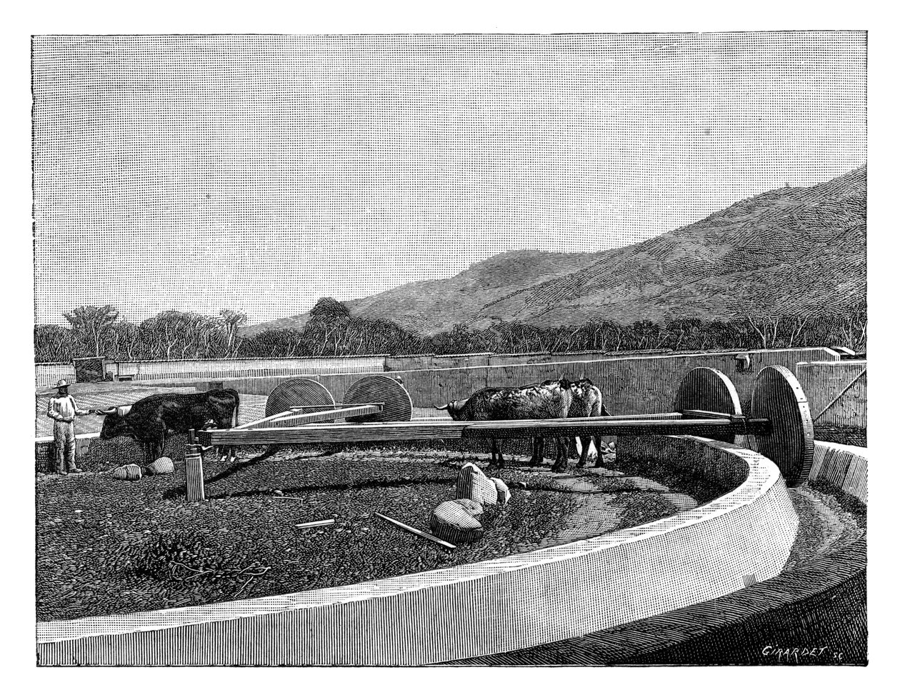 Molino para descascarar café, América Central, c1890 de Unbekannt