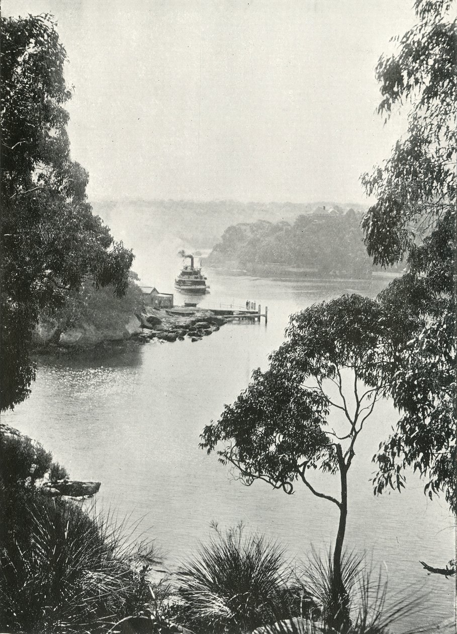 Bahía de Mosmans, desde el Embarcadero de Cremorne, c. 1900 de Unbekannt