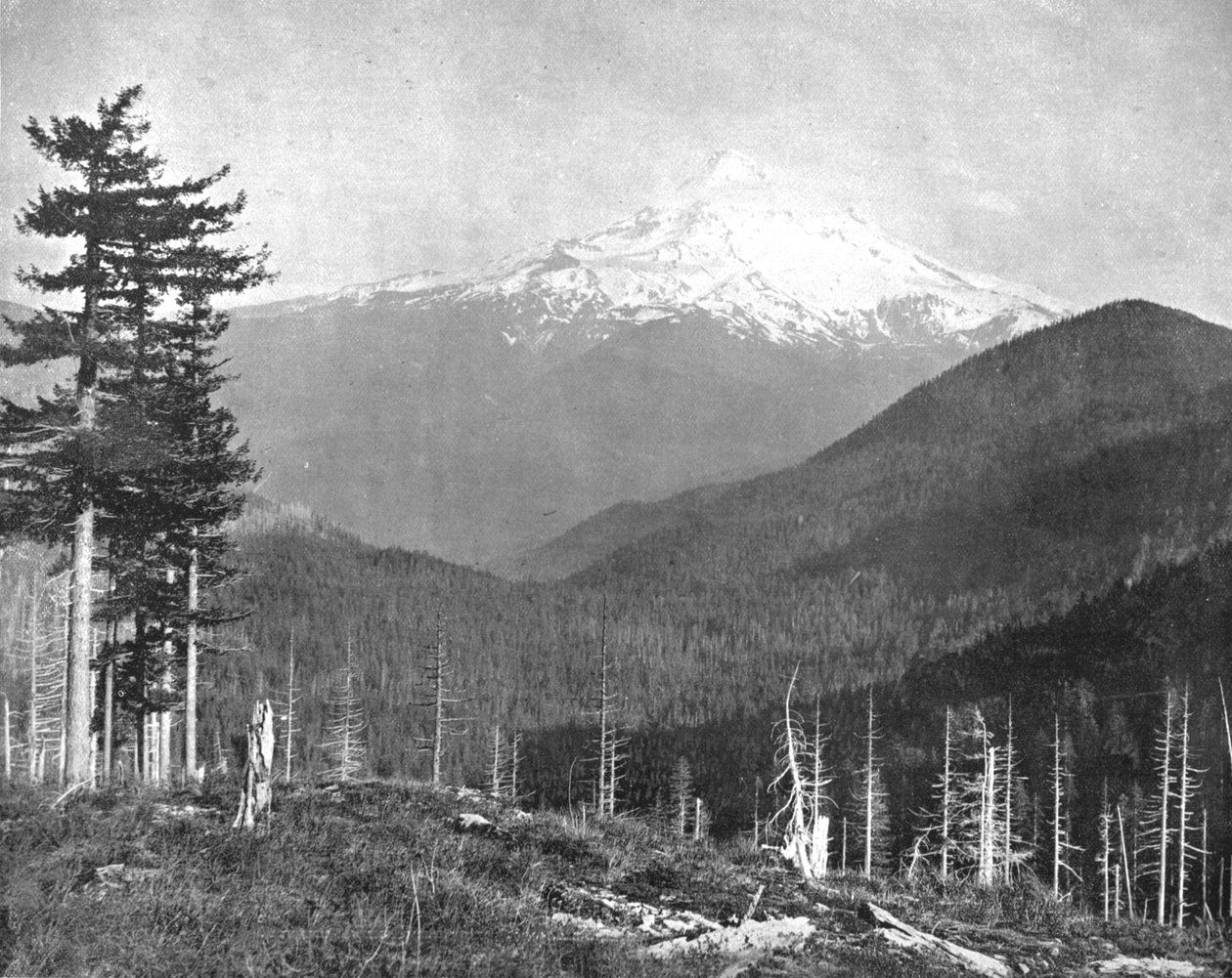 Monte Hood, Oregón, EE.UU., c1900 de Unbekannt