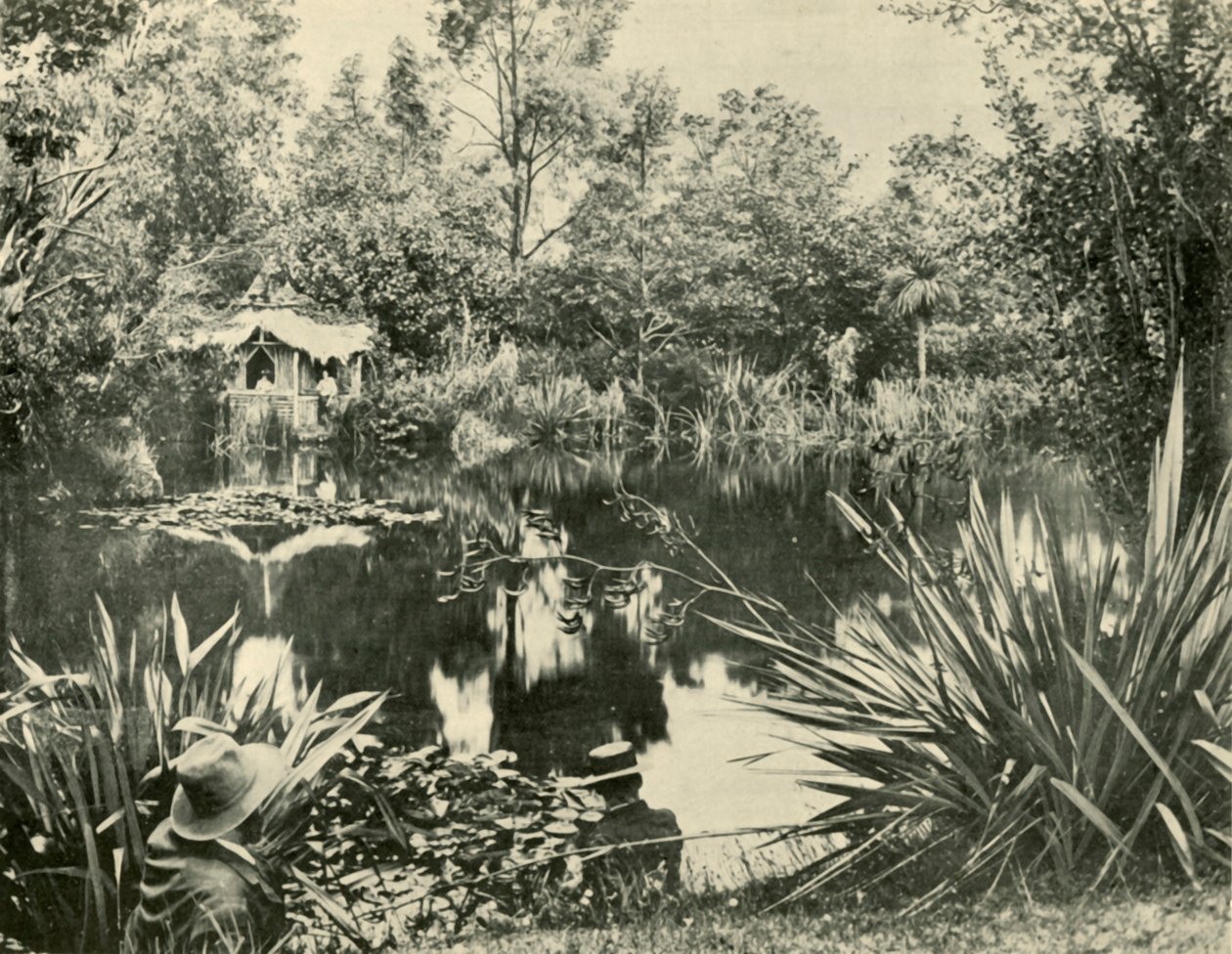 Jardines del Sr. Ryan, Monte Macedon, Victoria, 1901 de Unbekannt