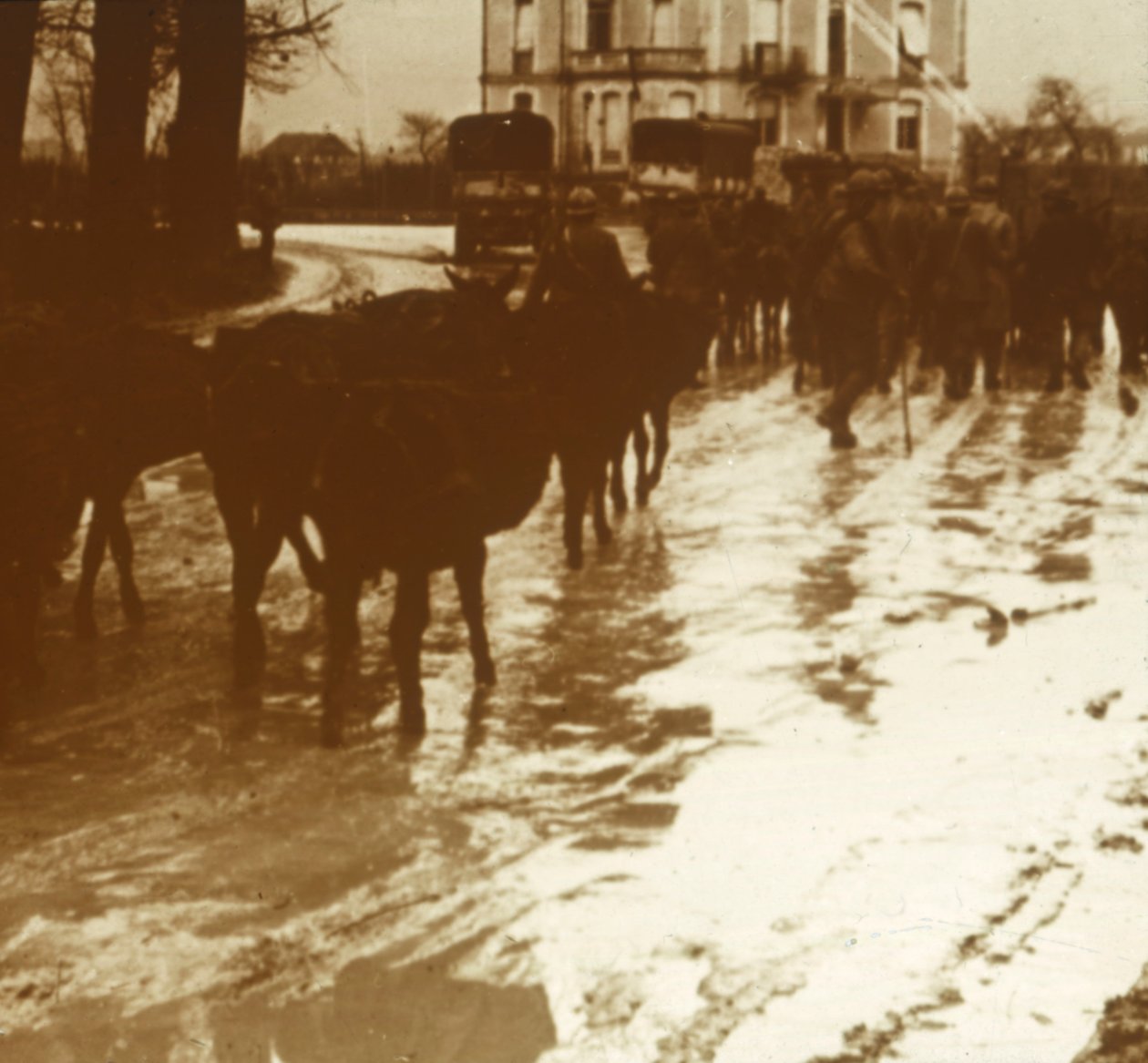 Tren de mulas con suministros, Verdún, norte de Francia, c1914-c1918 de Unbekannt