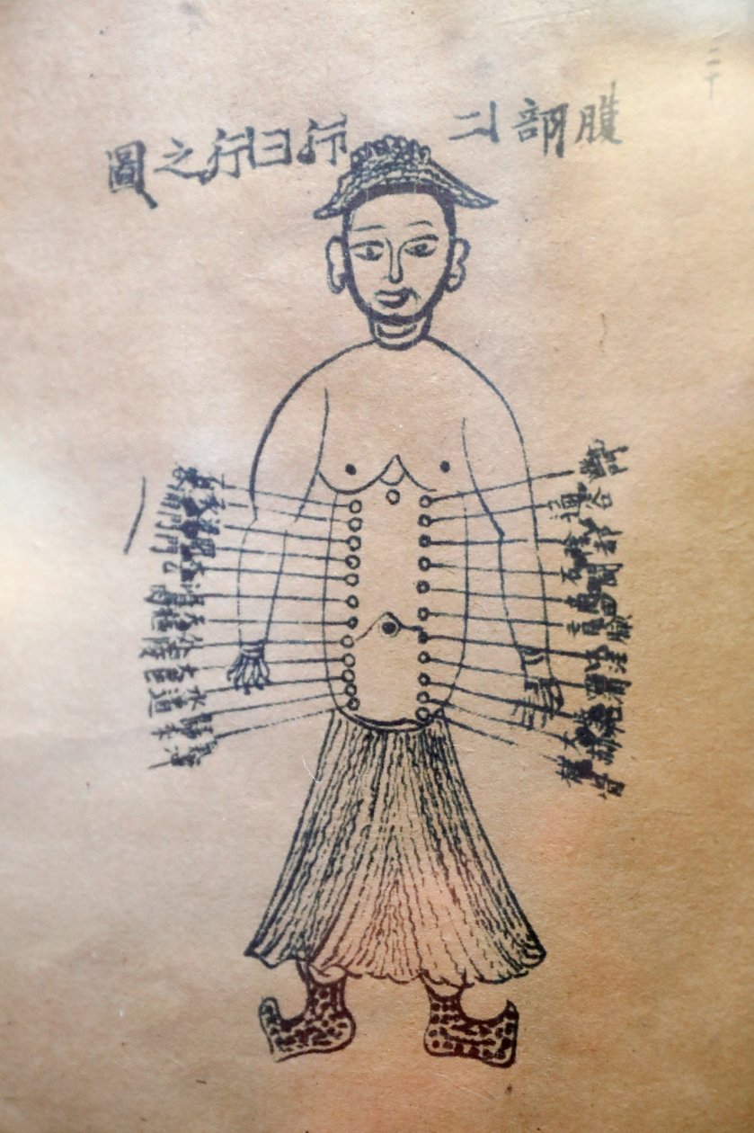 Museo de Medicina Tradicional Vietnamita, Los canales y vasos, Libro de acupuntura, Ciudad Ho Chi Minh, Vietnam de Unbekannt