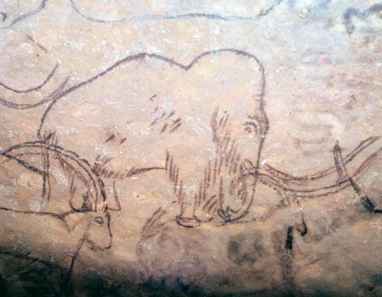 Pintura rupestre neolítica de mamut e íbices de Unbekannt