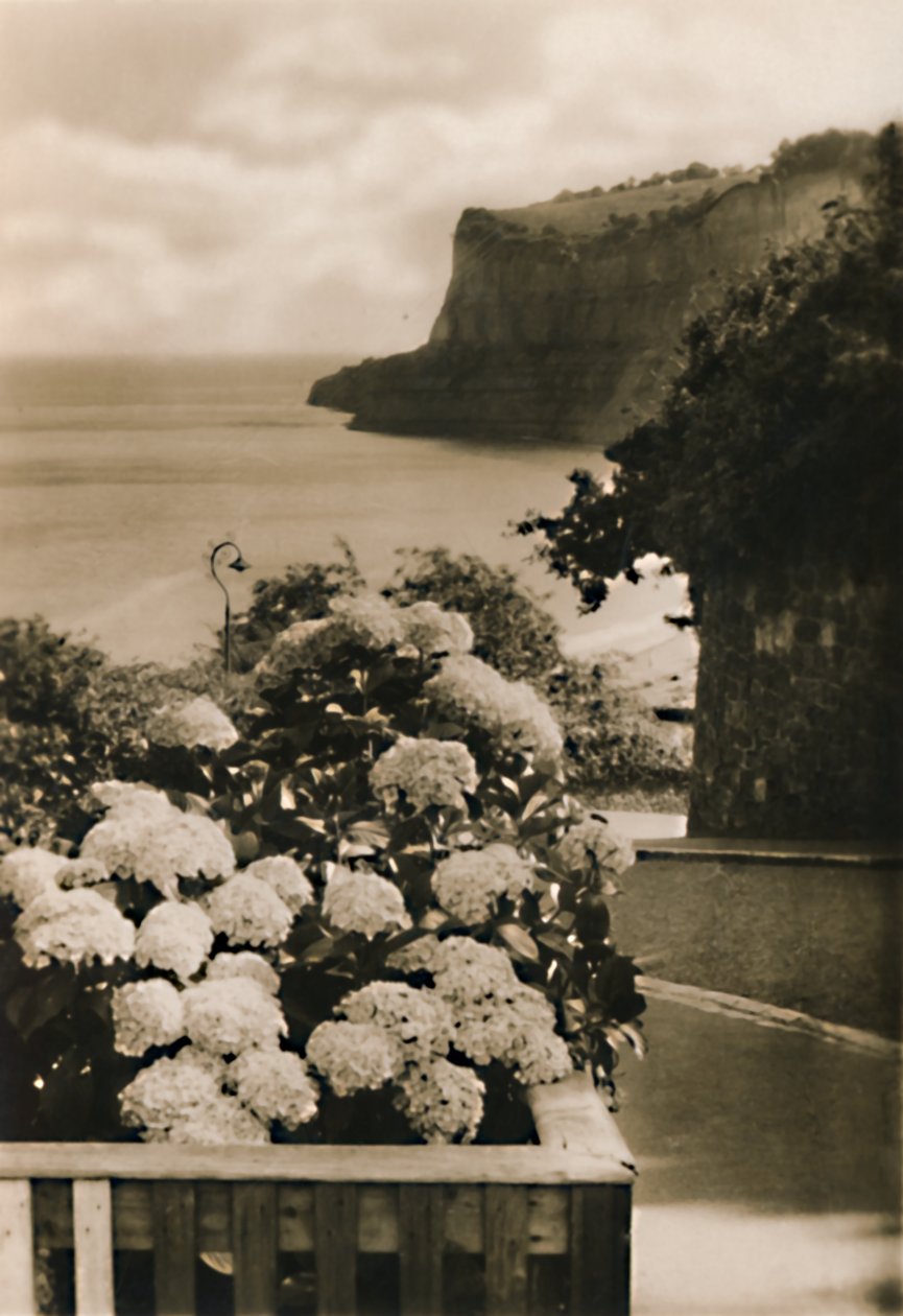 Viejo Shanklin Head, I.W., c1920 de Unbekannt