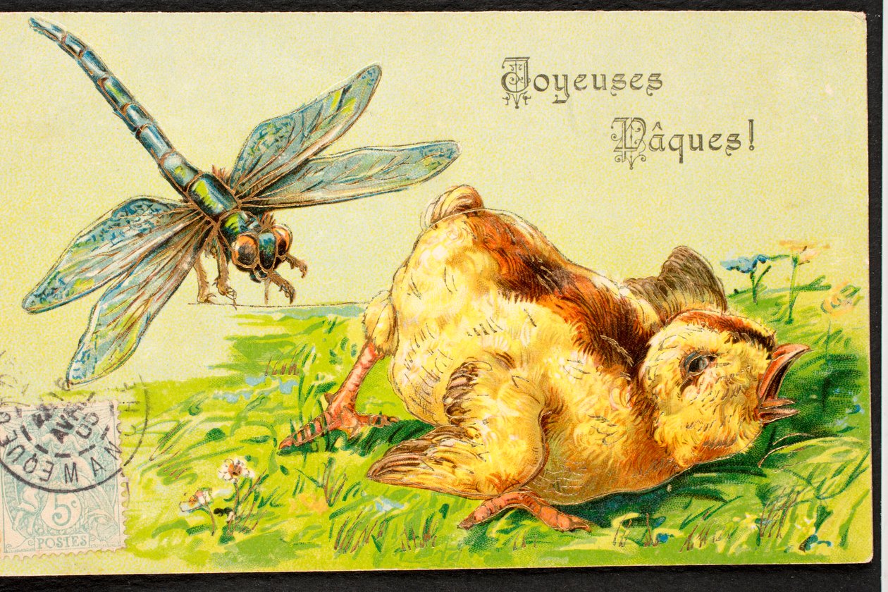 Tarjeta postal antigua/Feliz Pascua/Pollito/Libelula de Unbekannt