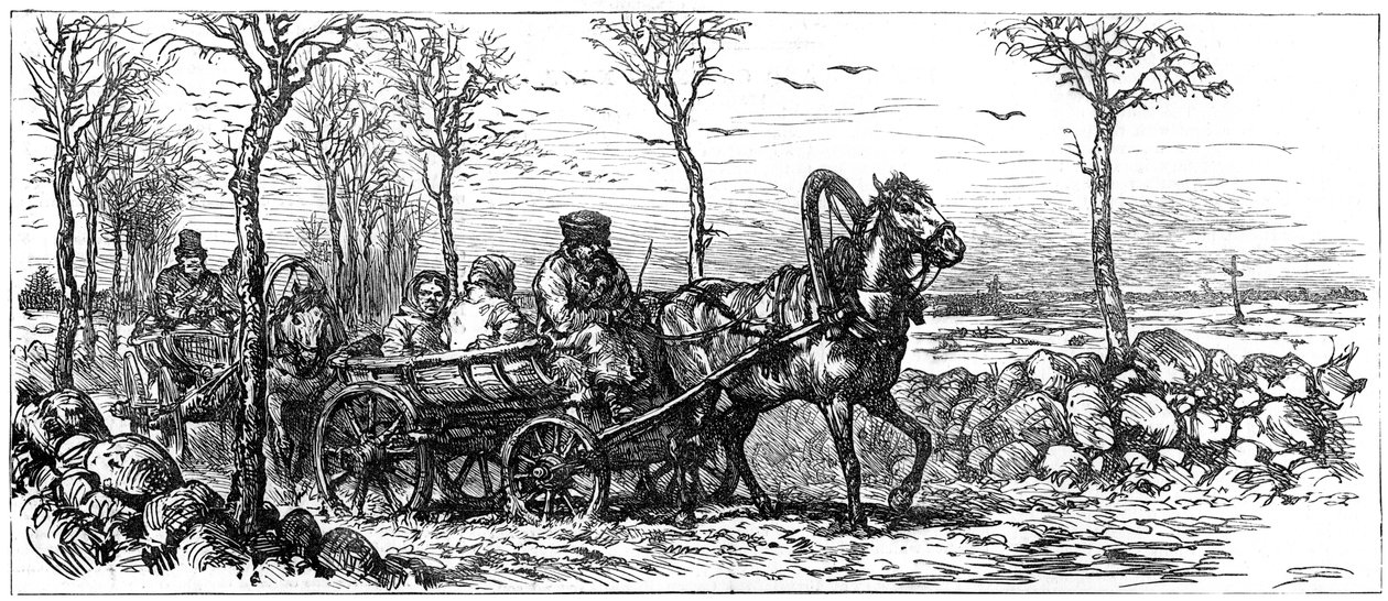 En un camino cerca de San Petersburgo, Rusia, 1882 de Unbekannt