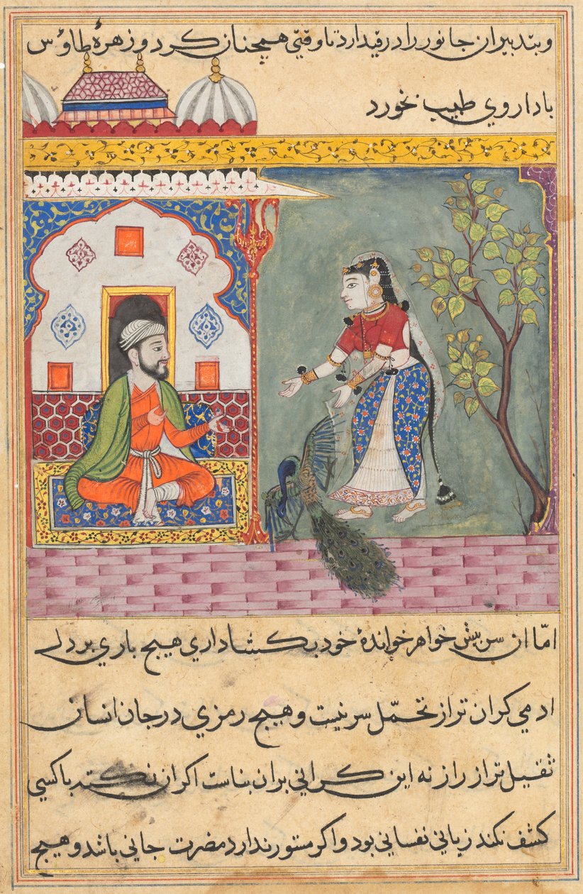 Página de Cuentos de un loro Tuti-nama: Decimonovena noche: La esposa del brahmán..., c. 1560 de Unbekannt