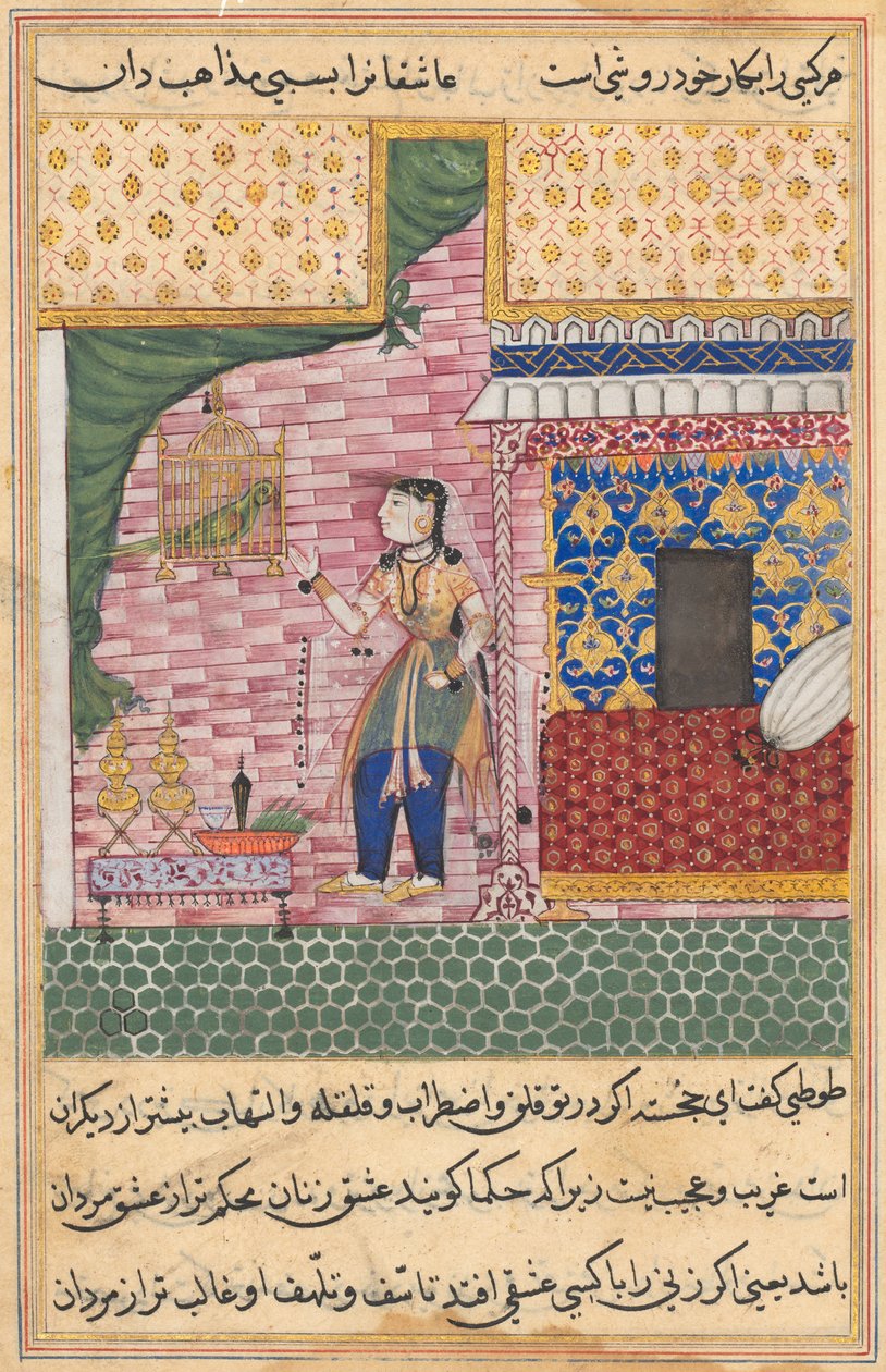 Página de Cuentos de un loro Tuti-nama: Decimoséptima noche: El loro..., c. 1560 de Unbekannt