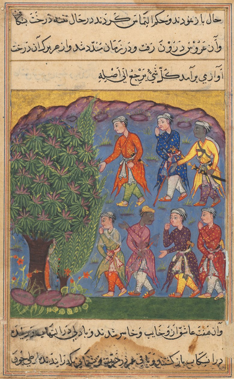 Página de Cuentos de un loro Tuti-nama: Sexta noche: Siete hombres disputando la posesión..., c. 1560 de Unbekannt