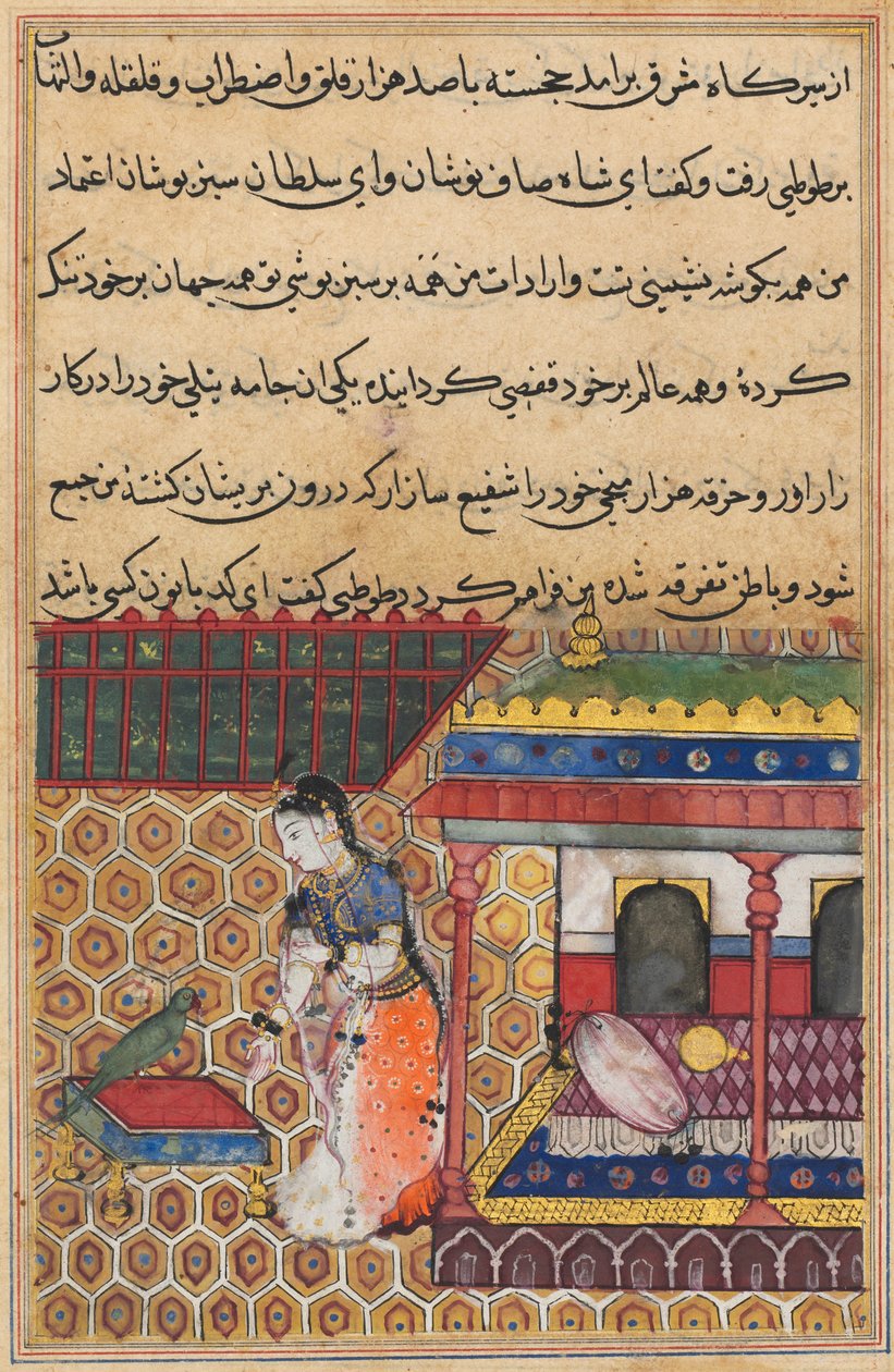 Página de Cuentos de un loro Tuti-nama: Trigésima octava noche: El loro se dirige a Khujasta, c1560 de Unbekannt