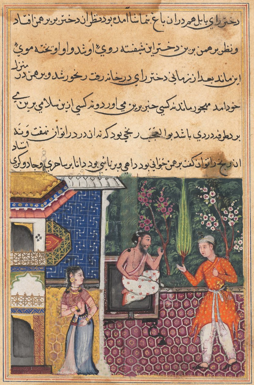 Página de Cuentos de un loro Tuti-nama: Trigésima quinta noche: El brahmán da..., c. 1560 de Unbekannt