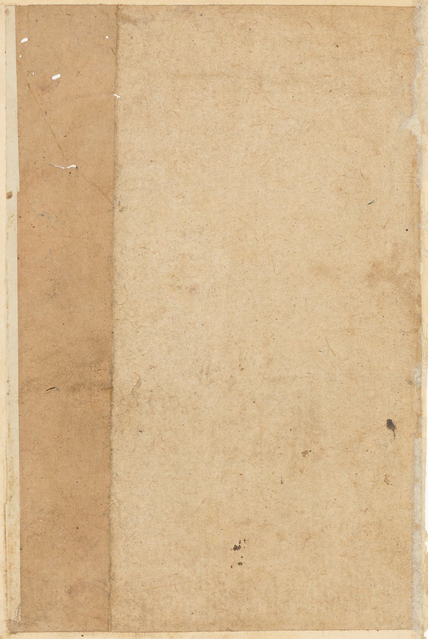 Página de Cuentos de un loro Tuti-nama: página en blanco, c. 1560 de Unbekannt