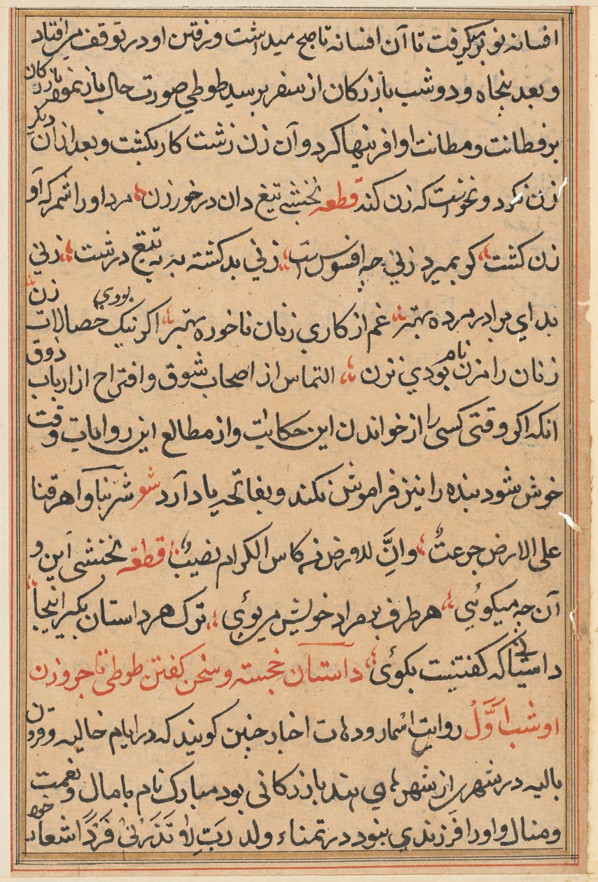 Página de Cuentos de un loro Tuti-nama: página de texto, c. 1560 de Unbekannt