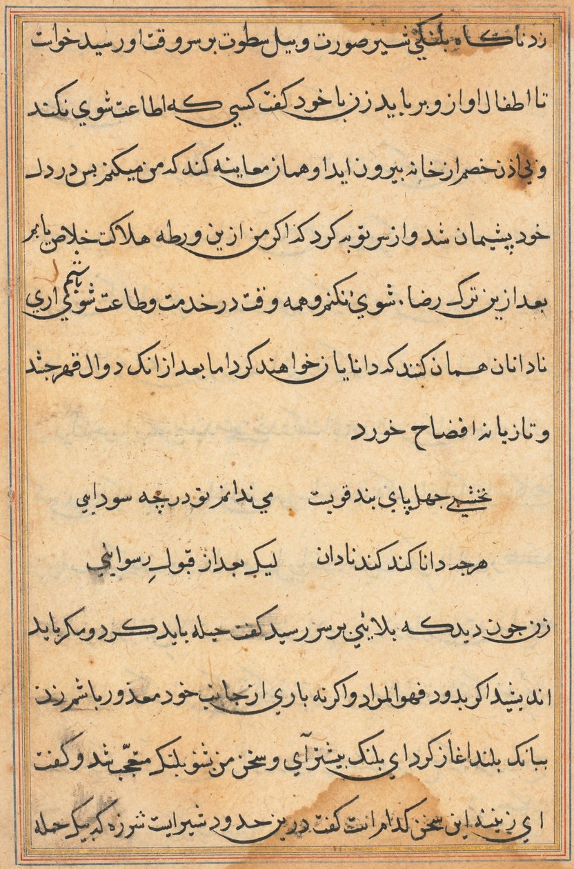 Página de Cuentos de un Loro Tuti-nama: página de texto, c. 1560 de Unbekannt