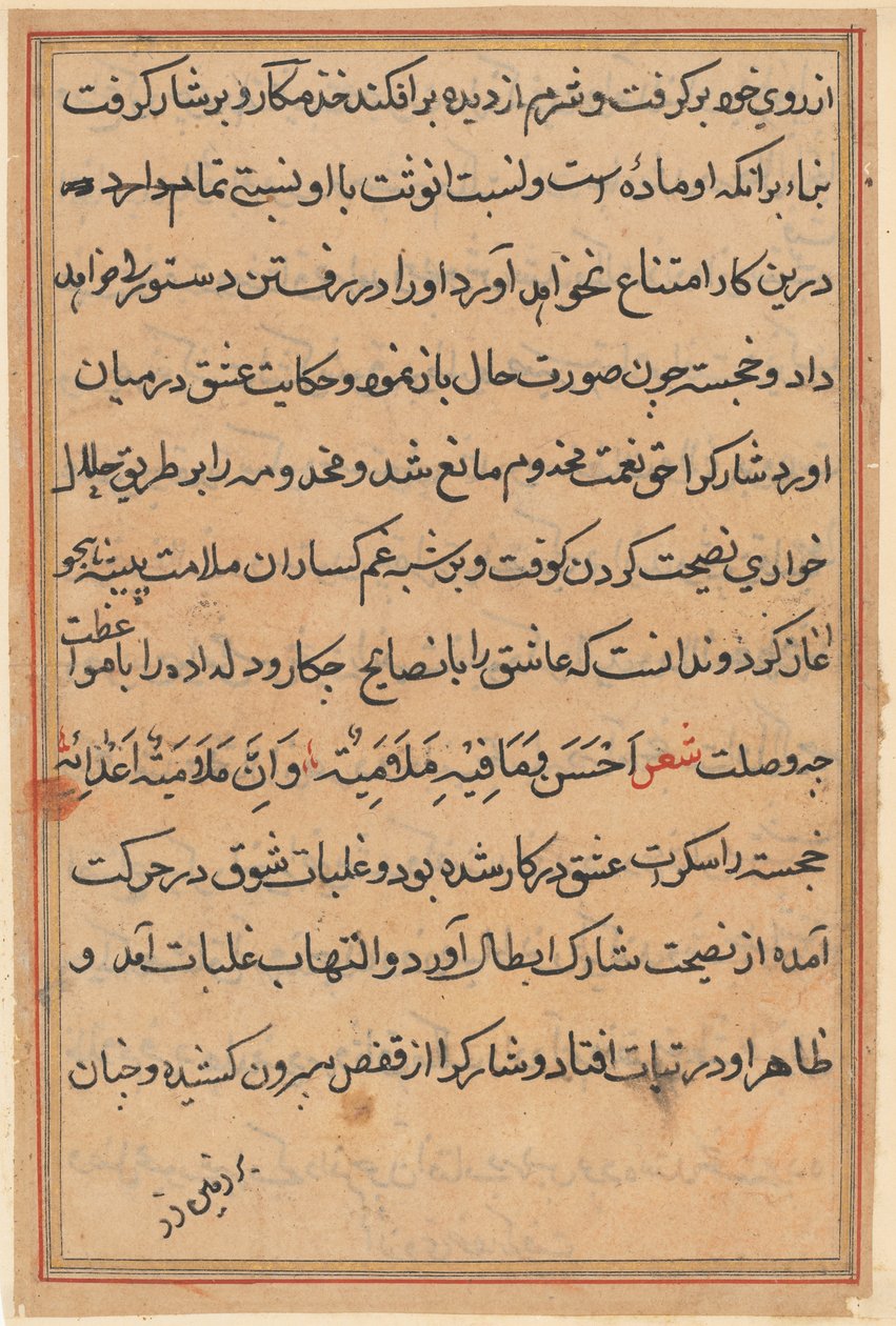 Página de Cuentos de un loro Tuti-nama: página de texto, c. 1560 de Unbekannt