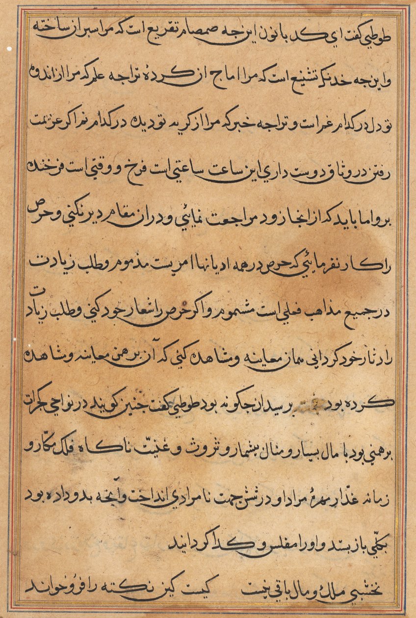 Página de Tales of a Parrot Tuti-nama: página de texto, c. 1560 de Unbekannt
