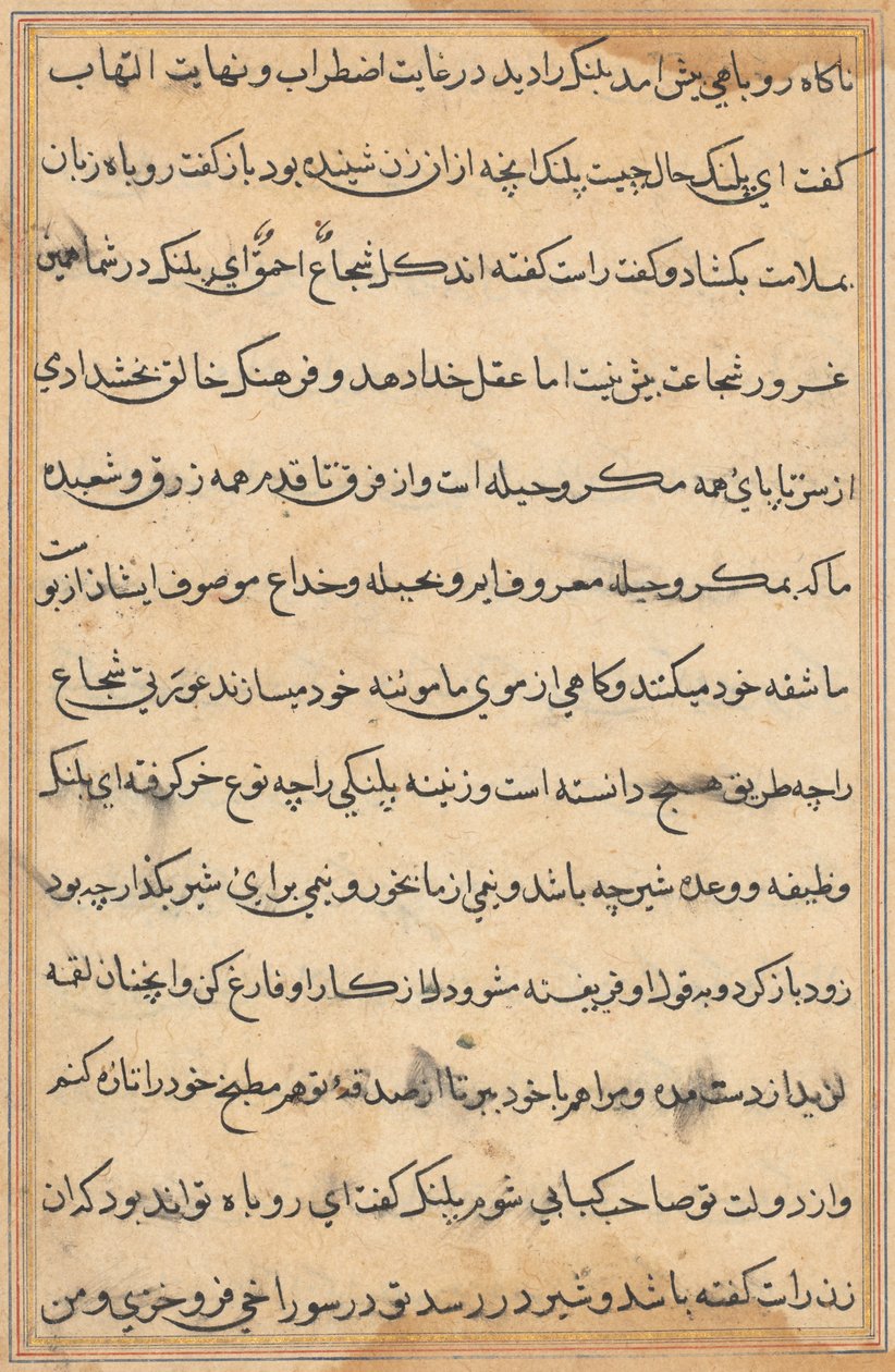 Página de Cuentos de un loro Tuti-nama: página de texto, c. 1560 de Unbekannt