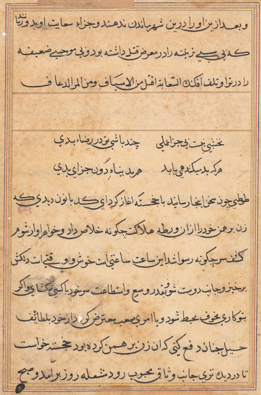 Página de Cuentos de un Loro Tuti-nama: página de texto, c. 1560 de Unbekannt