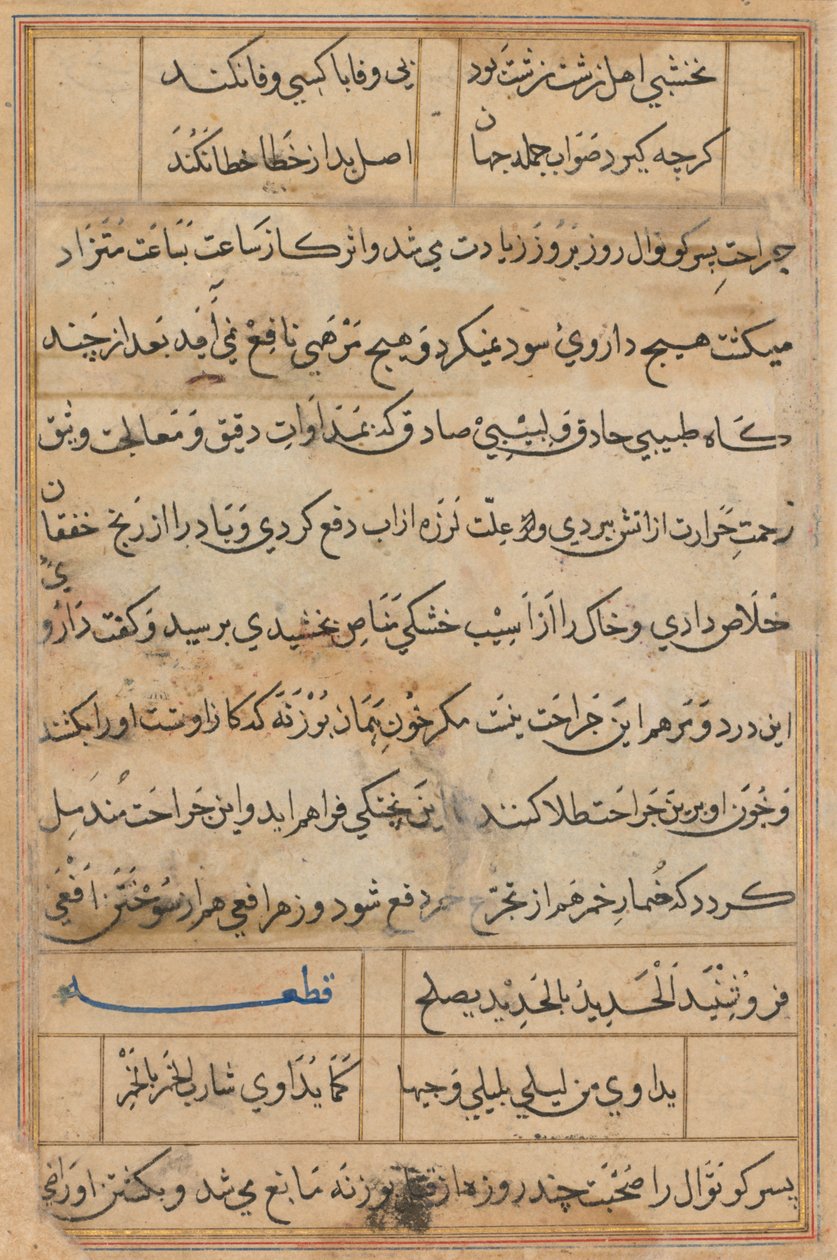 Página de Cuentos de un loro Tuti-nama: página de texto, c. 1560 de Unbekannt