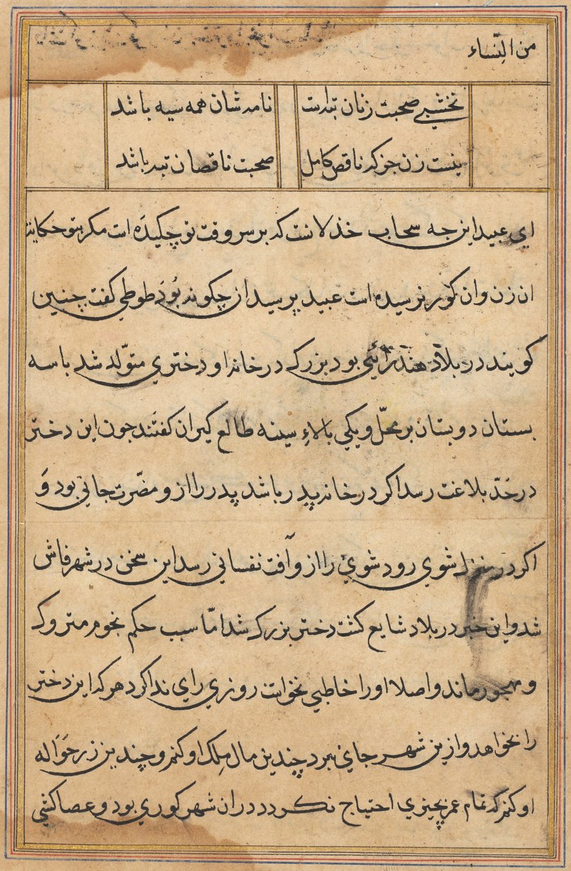 Página de Cuentos de un Loro Tuti-nama: página de texto, c. 1560 de Unbekannt