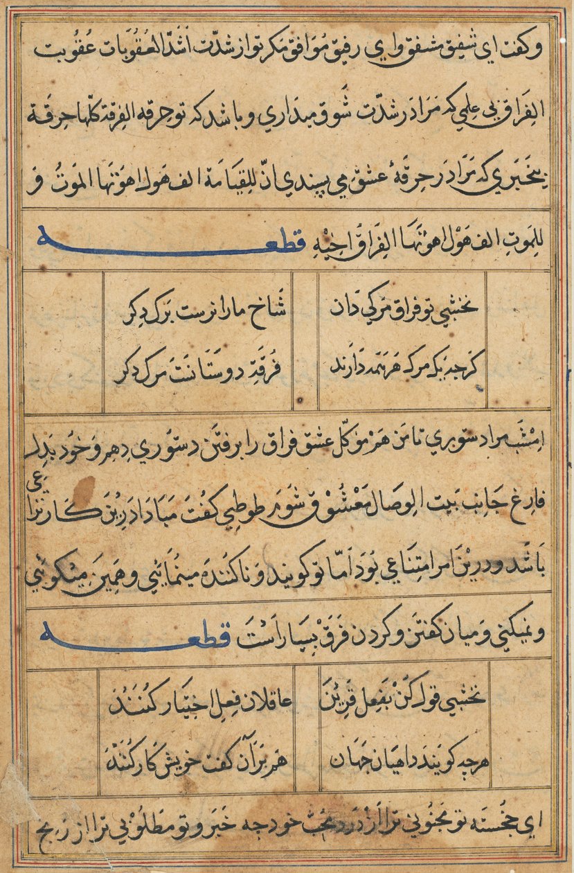 Página de Cuentos de un loro Tuti-nama: página de texto, c. 1560 de Unbekannt