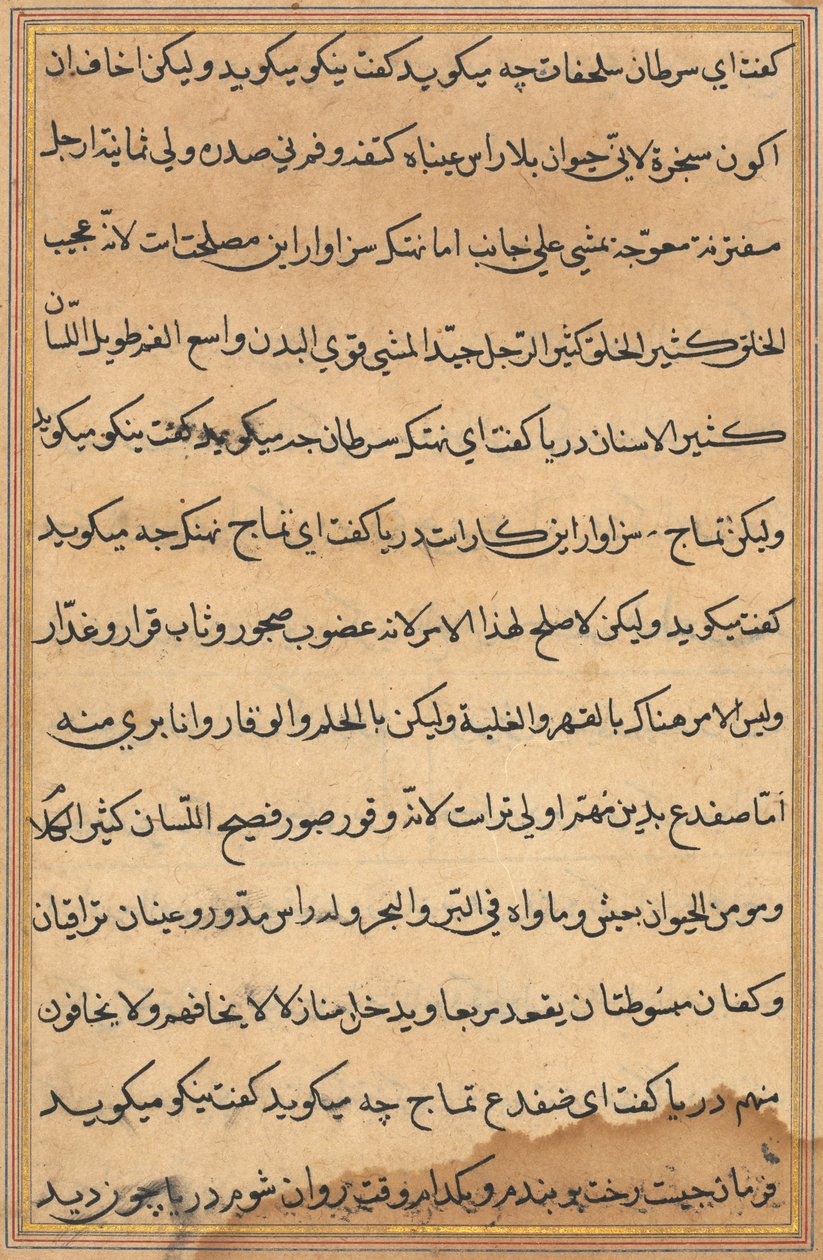 Página de Cuentos de un Loro Tuti-nama: página de texto, c. 1560 de Unbekannt