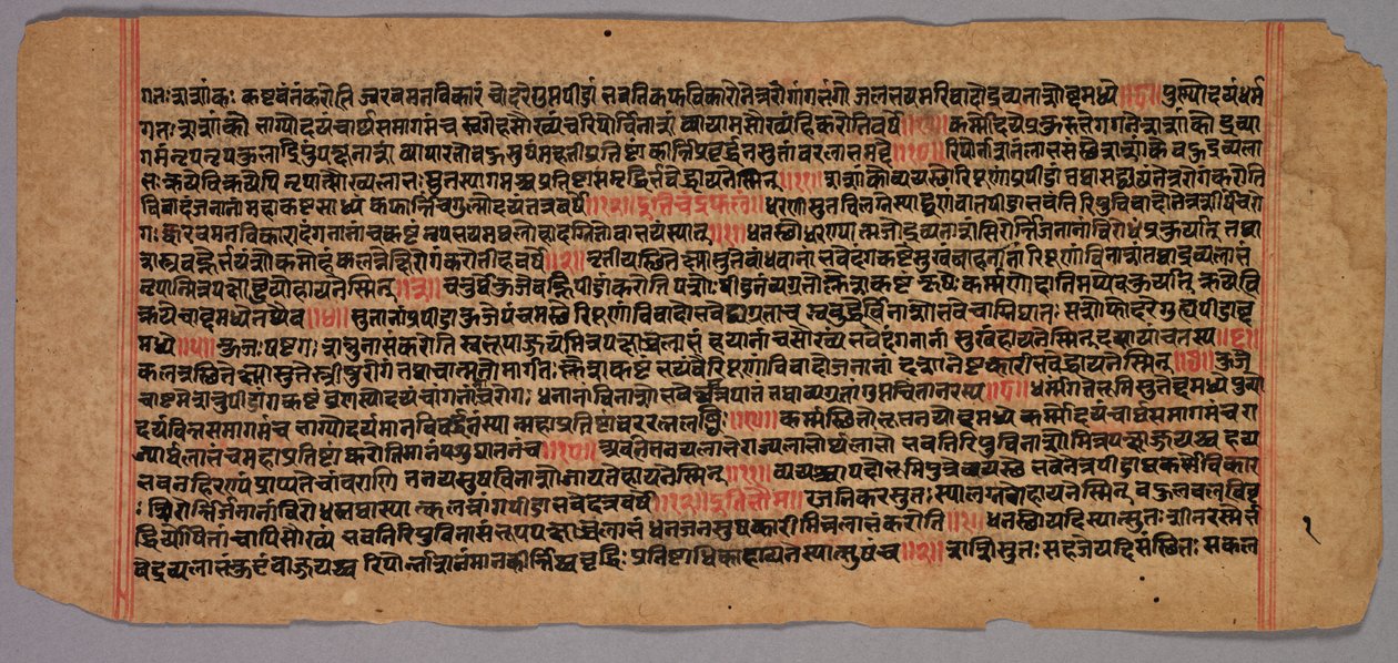 Páginas de un manuscrito Jaina de Unbekannt