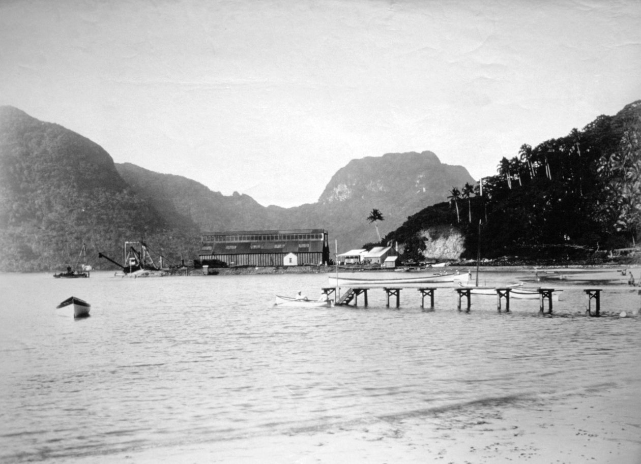 Puerto de Pago Pago, en la isla de Tutuila, Samoa Americana, 1889 de Unbekannt