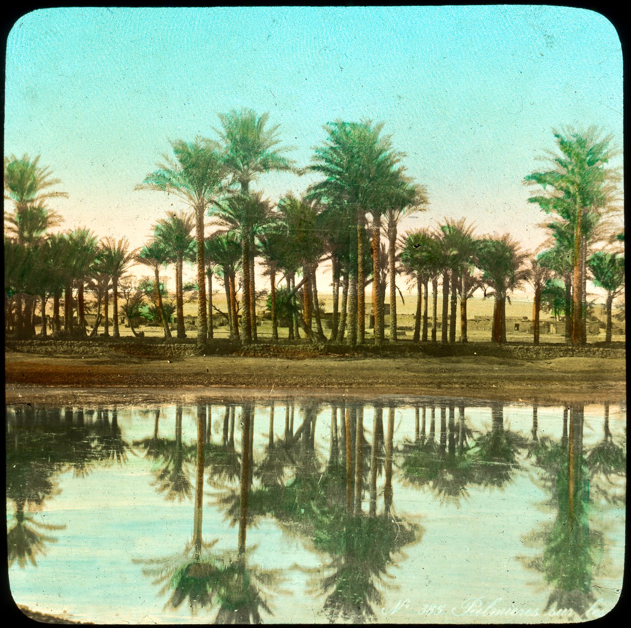 Palmeras reflejadas en el agua, India, finales del siglo XIX o principios del siglo XX de Unbekannt