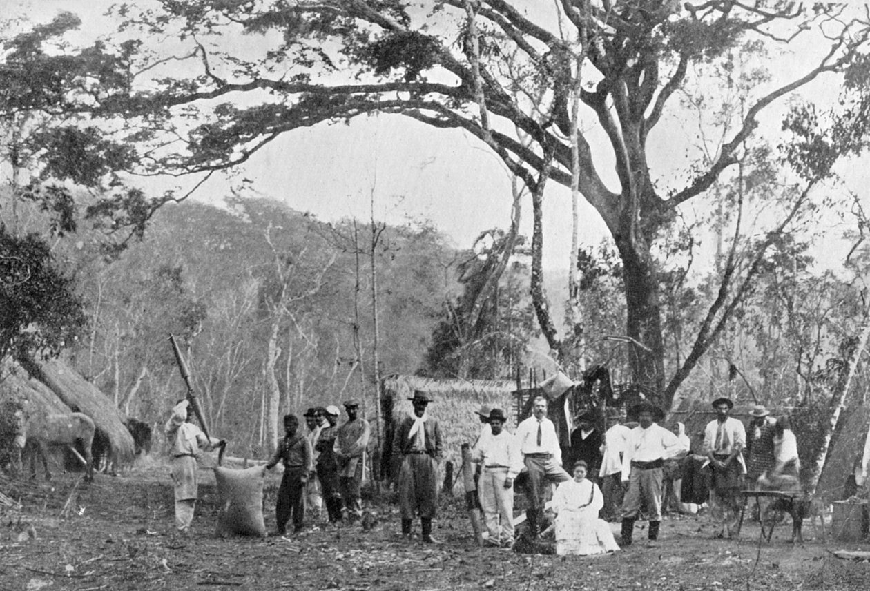 Recolección de té paraguayo, Paraguay de Unbekannt