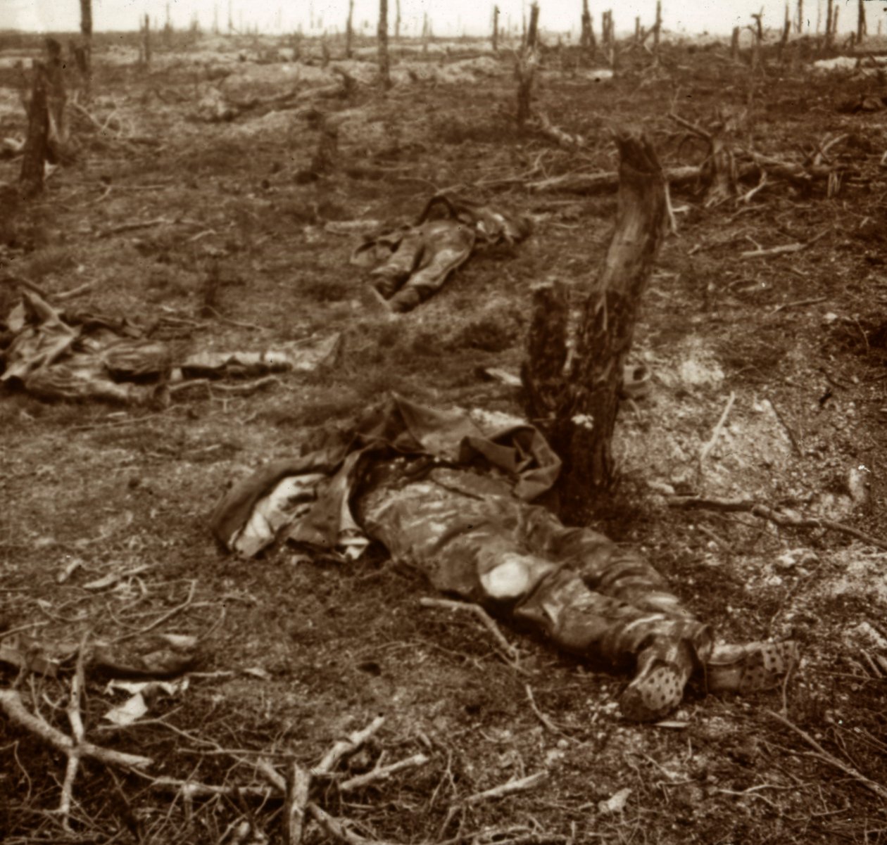 Camino entre cuerpos, c1914-c1918 de Unbekannt
