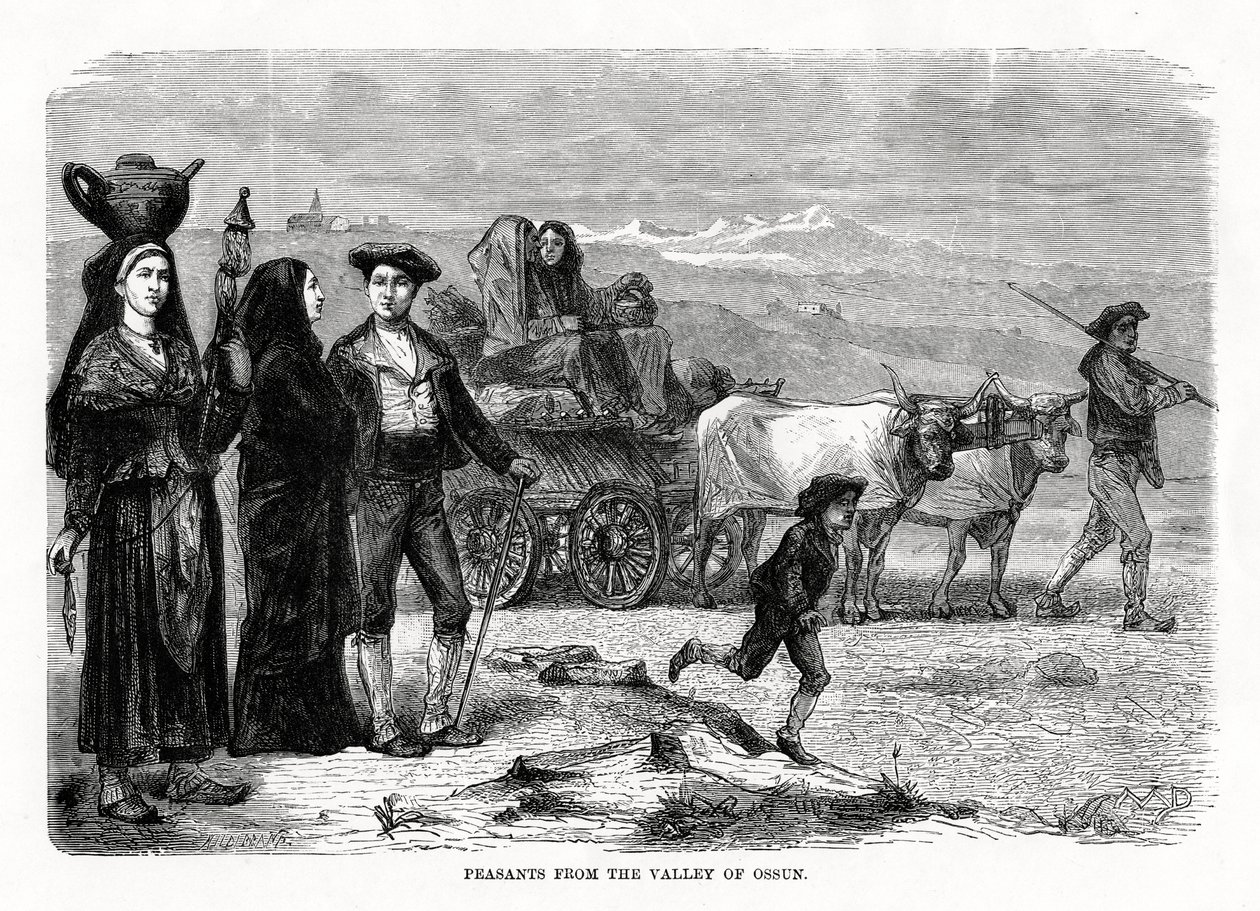 Campesinos del valle de Ossun, Francia, 1879 de Unbekannt