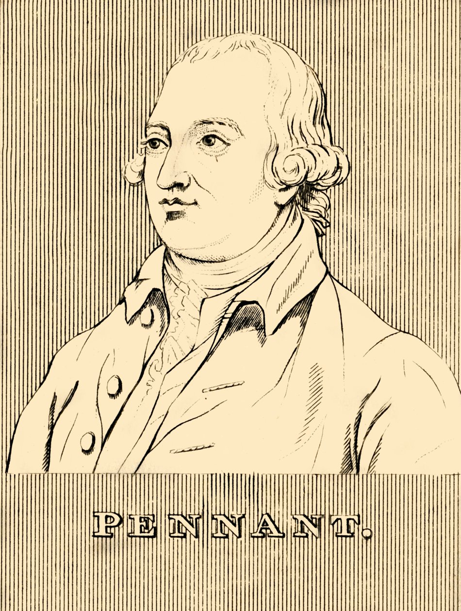 Pennant, 1726-1798, 1830 de Unbekannt