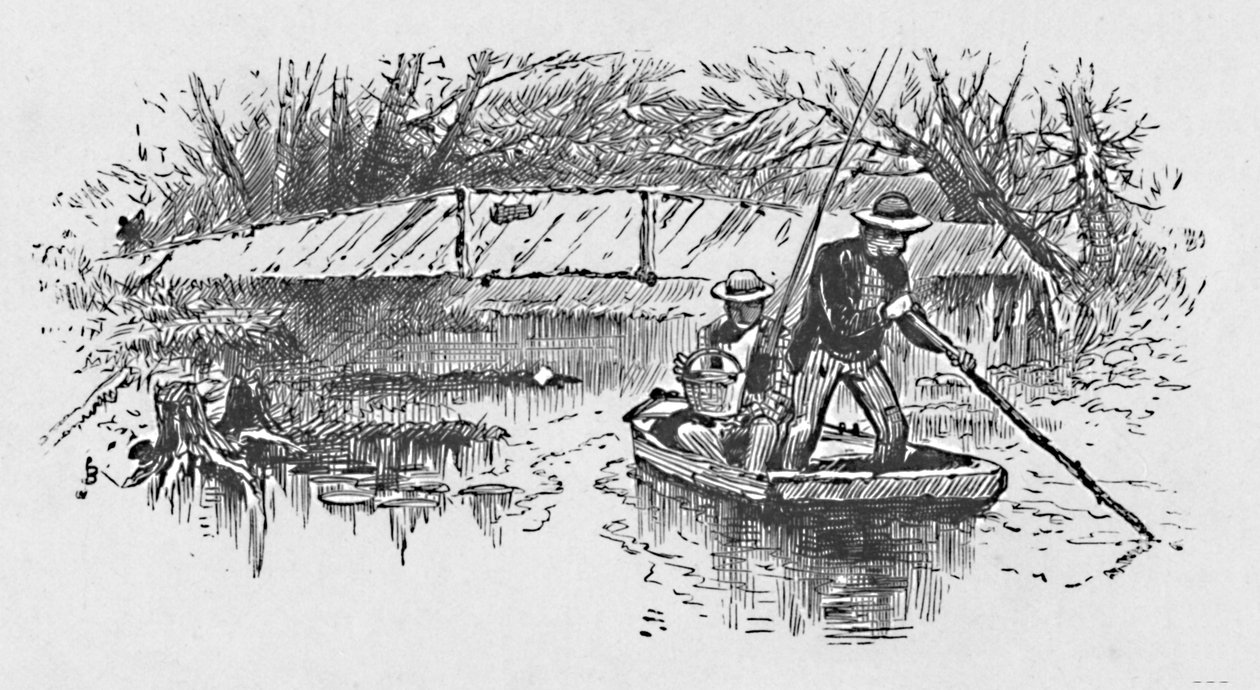 Pesca de perca en el lago, 1883 de Unbekannt