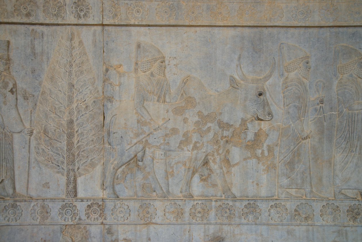 Persépolis, Irán de Unbekannt