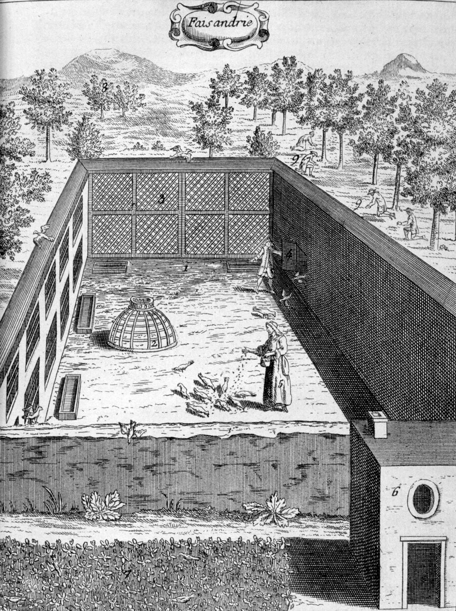 Faisanería, 1775 de Unbekannt
