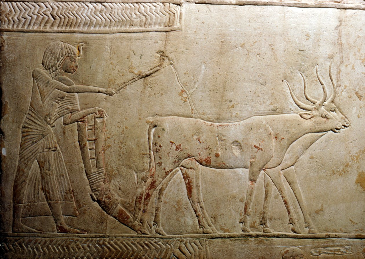 Arando de una estela egipcia, XVIII Dinastía, 1332 a.C.-1323 a.C. de Unbekannt