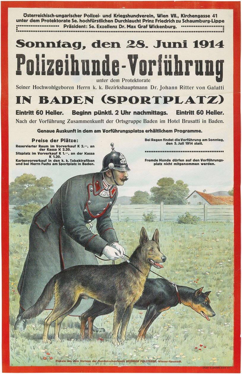 Demostración de perro policía en Baden, 1914 de Unbekannt