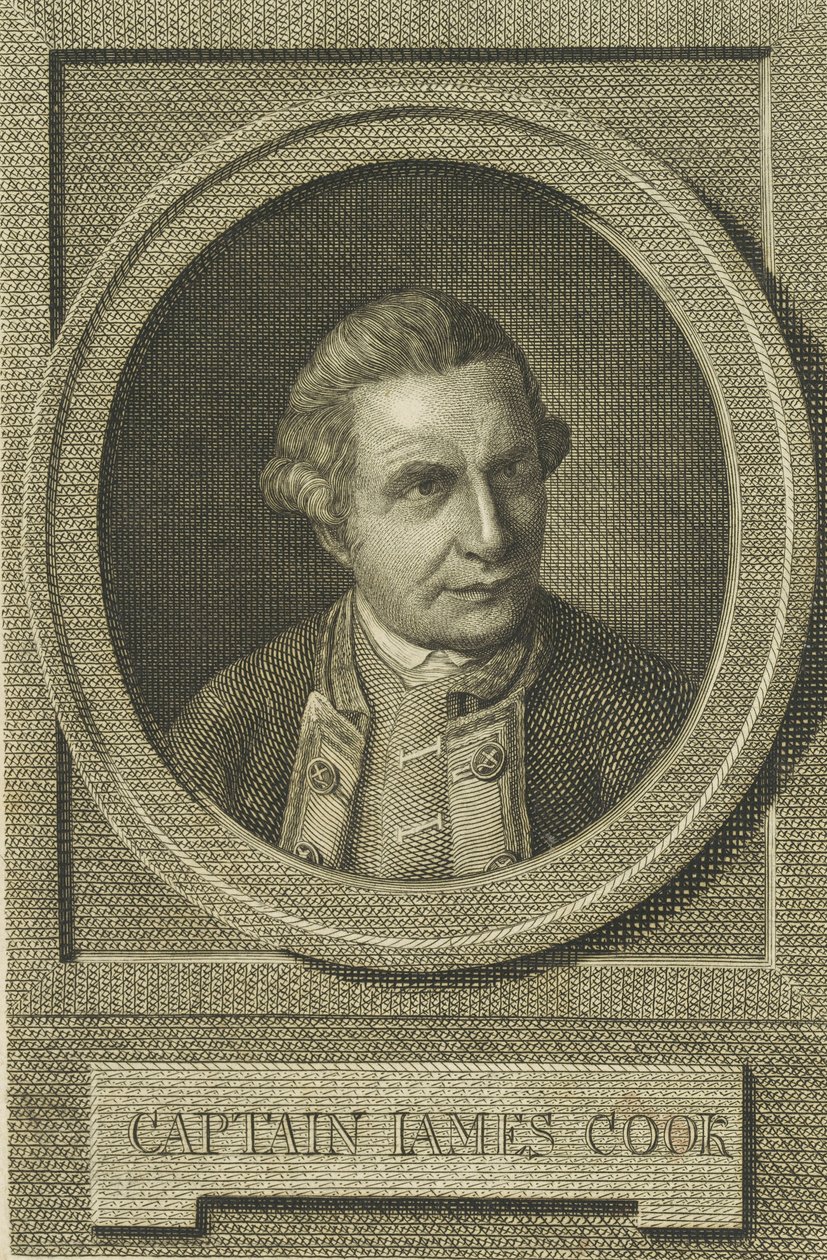 Retrato de James Cook, después de 1771 de Unbekannt